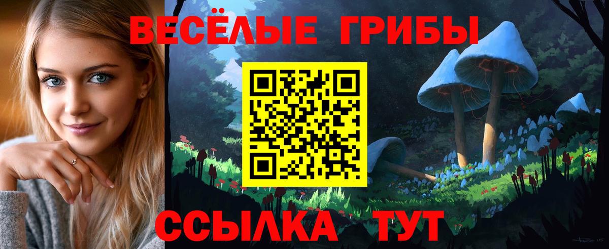 Родники  Галлюциногенные грибы мицелий  Псилоцибиновые грибы мицелий  Вход с VPN 